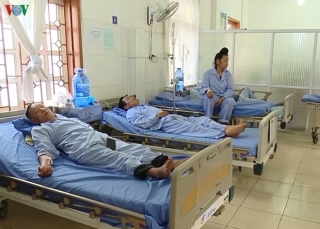 19 người ở Sơn La bị ngộ độc vì ăn bọ xít - Ảnh 2.