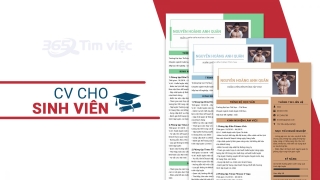 Hướng dẫn cách viết CV cho sinh viên thực tập - Ảnh 1.