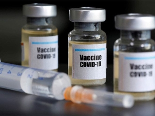 74 ngày không có ca lây nhiễm trong cộng đồng, Việt Nam phát triển thành công dự tuyển vắc xin phòng COVID-19 - Ảnh 3.
