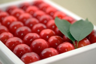 Soán ngôi đầu hoa quả nhập siêu đắt tháng 7: Gọi tên cherry đặc sản của Nhật, về Việt Nam giá chạm nóc 6,6 triệu đồng/kg - Ảnh 1.