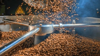 Vén màn bí mật quy trình sản xuất cà phê lon - Ảnh 1.