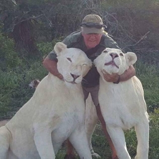 Sinh nghề tử nghiệp: Cả đời cống hiến cho động vật hoang dã, nhà bảo tồn bất ngờ bị đôi sư tử trắng quý hiếm mình nuôi cắn Ch?t - Ảnh 1.
