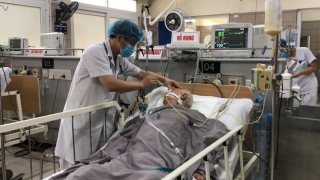 Thuốc điều trị cho bệnh nhân ngộ độc pate Minh Chay có giá 8.000 USD/lọ - Ảnh 2.