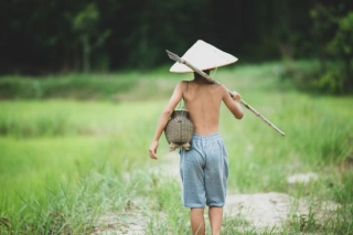 Nhìn thấy gì qua những chỉ số thể trạng “bật nhảy” không ngừng của trẻ em Việt Nam? - Ảnh 2.