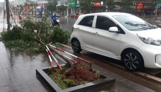 Bão số 9 quần thảo miền Trung: Gió thổi bay mái trường học, tốc ngói hàng trăm ngôi nhà - Ảnh 9.