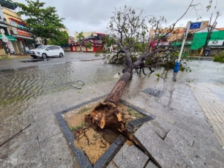 Hình ảnh về sự tàn phá kinh hoàng của bão số 9: Người dân thẫn thờ bên đống đổ nát, tan hoang - Ảnh 9.