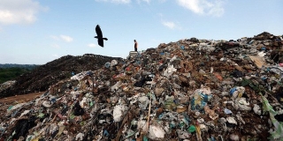  Sri Lanka trả lại rác thải chứa bộ phận cơ thể người cho Anh - Ảnh 1.