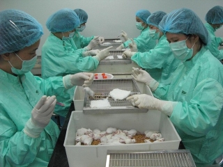 Việt Nam thử nghiệm vaccine Covid - Ảnh 1.