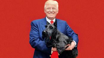 Tổng thống đầu tiên không nuôi chó tại Nhà Trắng sau 120 năm - Ảnh 2.