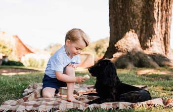 Chó cưng nhà William - Kate qua đời - Ảnh 3.