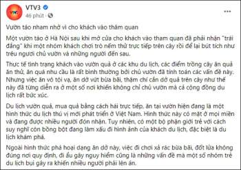 Vườn táo ở Hà Nội nham nhở vì khách tham quan ý thức kém - Ảnh 1.