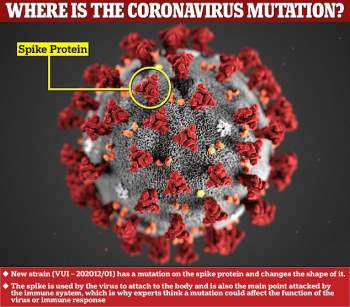 Biến thể mới của virus corona đang lây lan quá nhanh - Ảnh 1.