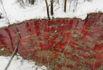 Sông đỏ thẫm xuất hiện giữa rừng tuyết, Nga vội vã điều tra - Ảnh 2.
