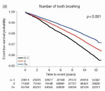 Mỗi phút lại có 1 người đột tử, sau 10 năm nghiên cứu: Đánh răng có liên quan đến bệnh tim - Ảnh 5.