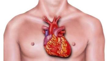 3 đặc điểm nhận biết bệnh nhồi máu cơ tim và 4 kiểu người tốt nhất nên đi kiểm tra - Ảnh 2.