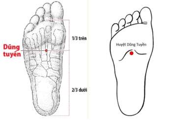 2 diệu pháp giúp dương khí dồi dào, bổ thận, ích tinh: Tốt cho cả người trẻ và cao tuổi - Ảnh 8.