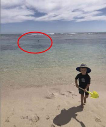 Để con chơi trên bờ rồi xuống lặn biển, ông bố Ch?t bí ẩn trước khi bị cá mập ăn thịt, tấm ảnh cuối cùng cậu bé được chụp với bố gây ám ảnh khôn nguôi - Ảnh 2.