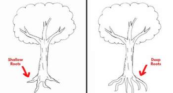 Đặt bút vẽ một chiếc cây, mỗi người cho ra một tác phẩm riêng: Bạn có biết tác phẩm của người hướng nội khác người hướng ngoại ở điểm nào không? - Ảnh 1.