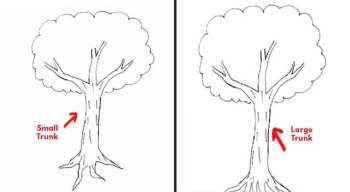 Đặt bút vẽ một chiếc cây, mỗi người cho ra một tác phẩm riêng: Bạn có biết tác phẩm của người hướng nội khác người hướng ngoại ở điểm nào không? - Ảnh 2.