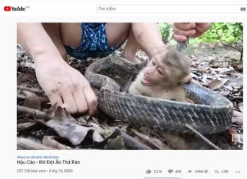 YouTube Việt quá độc hại: Loạt kênh triệu sub nội dung ngược đãi động vật đến mức ghê rợn, cổ vũ bạo lực mà trẻ em có khả năng mắc bẫy - Ảnh 1.