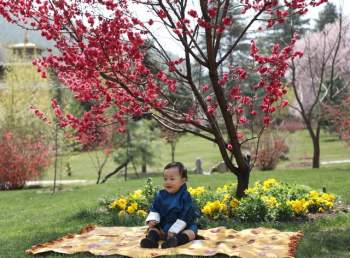 Quốc vương và Hoàng hậu Bhutan mừng con trai một tuổi - Ảnh 3.