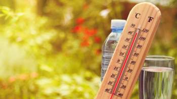Kiểm soát tăng huyết áp mùa nắng nóng bằng sản phẩm thảo dược - Ảnh 1.