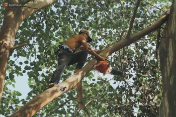 Gặp vua khỉ U50 ở miền Tây: 27 năm thích leo trèo, dù bị ong chích, kiến đốt đến phát sốt vẫn thấy bình thường - Ảnh 11.