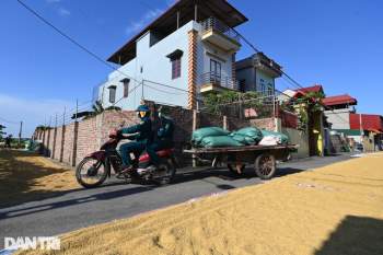 Tâm dịch Bắc Ninh: Nông dân không phải ra đồng, lúa và hoa màu tự chất đầy nhà - Ảnh 12.