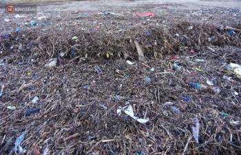 Chùm ảnh: 3.000 tấn rác dạt vào bãi biển Đà Nẵng sau bão số 13 - Ảnh 13.