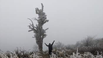 Sáng nay đỉnh Mẫu Sơn, Phia Oắc cây cối đóng băng, nhiều du khách thích thú chụp ảnh check in - Ảnh 15.