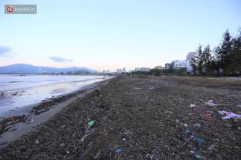 Chùm ảnh: 3.000 tấn rác dạt vào bãi biển Đà Nẵng sau bão số 13 - Ảnh 14.