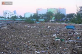 Chùm ảnh: 3.000 tấn rác dạt vào bãi biển Đà Nẵng sau bão số 13 - Ảnh 15.