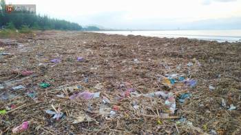 Chùm ảnh: 3.000 tấn rác dạt vào bãi biển Đà Nẵng sau bão số 13 - Ảnh 16.