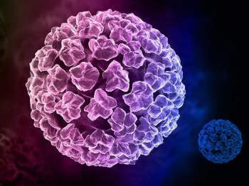 Sự thật ít người biết về vi rút HPV - Tác nhân chính gây ung thư cổ tử cung - Ảnh 1.