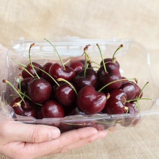 Soán ngôi đầu hoa quả nhập siêu đắt tháng 7: Gọi tên cherry đặc sản của Nhật, về Việt Nam giá chạm nóc 6,6 triệu đồng/kg - Ảnh 3.