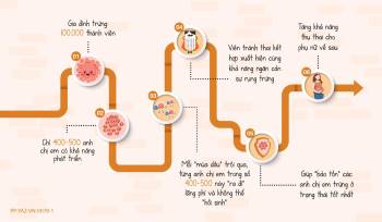 Khám phá những tác dụng thú vị của Viên Tr*nh th*i kết hợp cho sức khỏe và sắc đẹp phụ nữ - Ảnh 3.