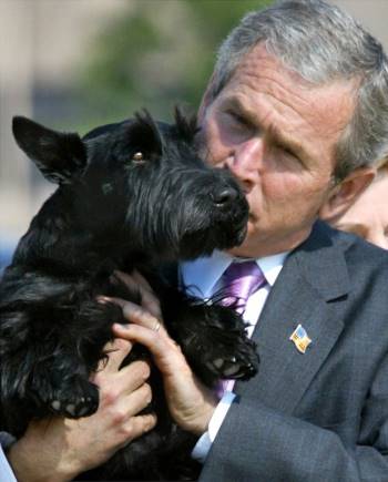 Tổng thống đầu tiên không nuôi chó tại Nhà Trắng sau 120 năm - Ảnh 4.