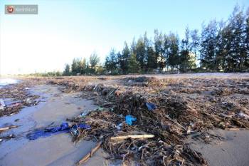Chùm ảnh: 3.000 tấn rác dạt vào bãi biển Đà Nẵng sau bão số 13 - Ảnh 3.