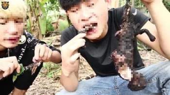 YouTube Việt quá độc hại: Loạt kênh triệu sub nội dung ngược đãi động vật đến mức ghê rợn, cổ vũ bạo lực mà trẻ em có khả năng mắc bẫy - Ảnh 3.
