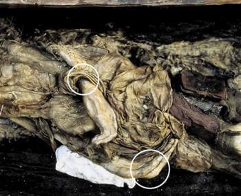 Hình xăm và những bí ẩn về xác ướp trinh nữ 2.500 tuổi tại Nga - Ảnh 4.