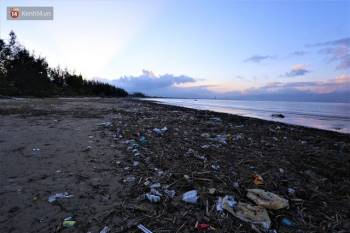 Chùm ảnh: 3.000 tấn rác dạt vào bãi biển Đà Nẵng sau bão số 13 - Ảnh 4.