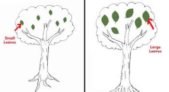 Đặt bút vẽ một chiếc cây, mỗi người cho ra một tác phẩm riêng: Bạn có biết tác phẩm của người hướng nội khác người hướng ngoại ở điểm nào không? - Ảnh 4.