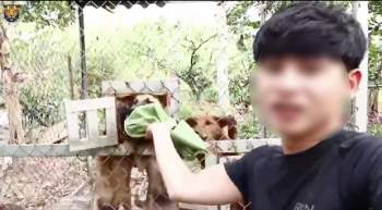 YouTube Việt quá độc hại: Loạt kênh triệu sub nội dung ngược đãi động vật đến mức ghê rợn, cổ vũ bạo lực mà trẻ em có khả năng mắc bẫy - Ảnh 4.