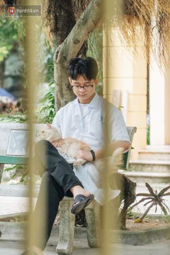 Bên trong phòng khám chữa bệnh, châm cứu miễn phí cho chó mèo ở Hà Nội: Ngoan, bà thương... - Ảnh 31.