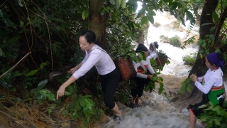 Lương y Nguyễn Thị Hiền – Kho Thuốc sống của người Việt - Ảnh 5.