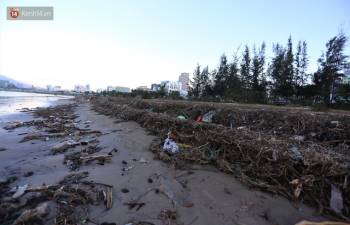 Chùm ảnh: 3.000 tấn rác dạt vào bãi biển Đà Nẵng sau bão số 13 - Ảnh 5.