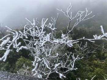 Sáng nay đỉnh Mẫu Sơn, Phia Oắc cây cối đóng băng, nhiều du khách thích thú chụp ảnh check in - Ảnh 6.