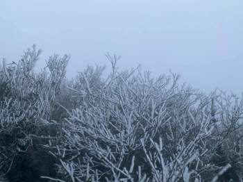 Sáng nay đỉnh Mẫu Sơn, Phia Oắc cây cối đóng băng, nhiều du khách thích thú chụp ảnh check in - Ảnh 7.
