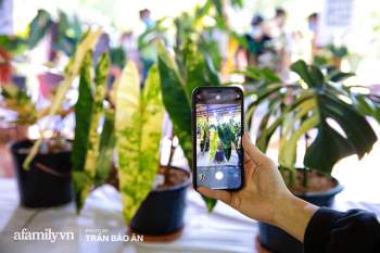 Lác mắt khi tham dự buổi offline hội Kiểng lá tại Sài Gòn, giá trị 1 chiếc lá từ vài triệu đến hàng chục triệu đồng, chính thức mở ra thú chơi siêu tốn kém của dân yêu cây - Ảnh 6.