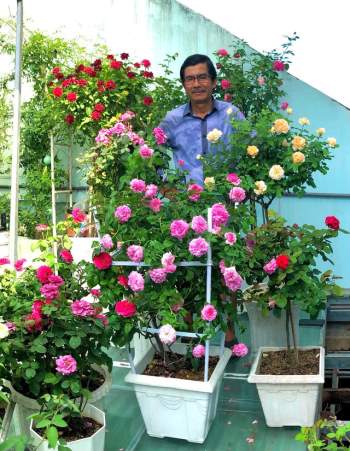 Người đàn ông trồng 100 chậu hoa hồng trên mái tôn để tặng vợ - Ảnh 7.